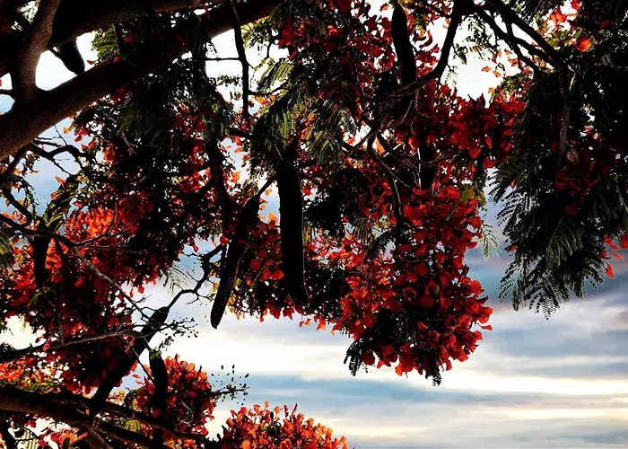 Casa Tavio 3 Apartamento Arona (Tenerife)